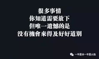 岁言 碎语 说说成长 