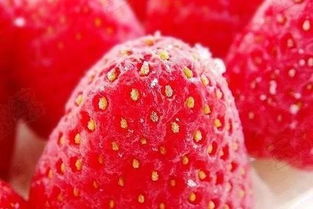 冻草莓怎么做好吃,草莓冻着吃。