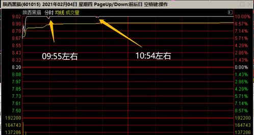 陕西金叶可以建仓了吗？