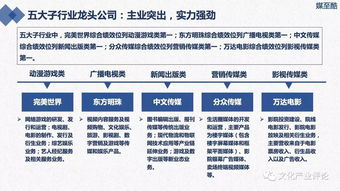 上市公司在指定报刊上公布年度报告摘要是什么报刊