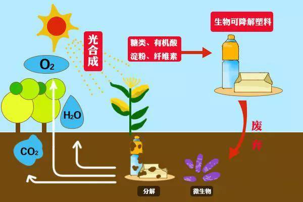 可降解塑料的春天即将到来了么