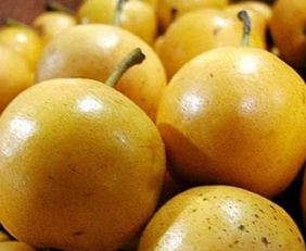 这种梨被称为 香水梨 ,能清肺醒酒 吃法有些与众不同 