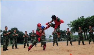 中国武警学的是什么武术,请问武警和人民解放军学的是什么武术啊?谢谢-第4张图片