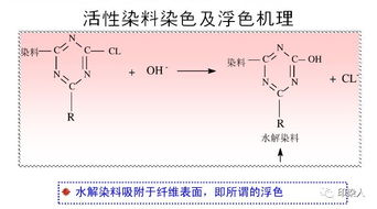 染色常见质量问题与助剂应用的关系