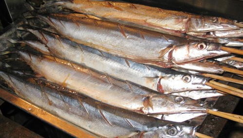 大黄鱼人工繁育技术,中国最赚钱的海洋鱼类