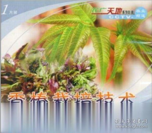 香椿的病虫害防治技术, 香椿的病虫