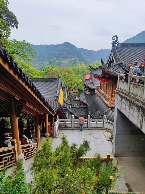 杭州灵隐寺景区一日游 