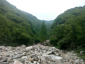 大峪 嘉午台 小峪未命名