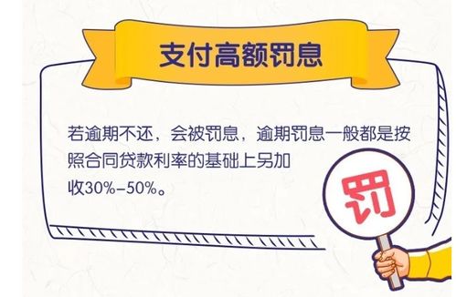 最新无需征信的贷款