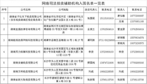 2020年度益阳法院网络司法拍卖辅助机构入围名单公示