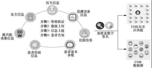 区块链中的数据何时确认,区块链中数据何时确认