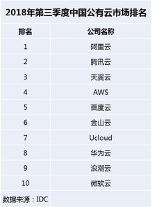 中软国际在国内云管理服务市场排第几名?