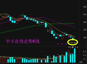 限售股的其他信息