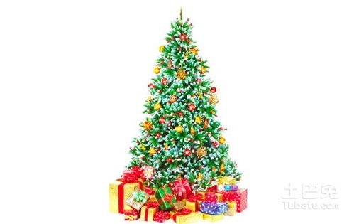 怎么安装圣诞树,如何安装圣诞树