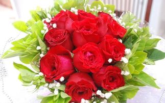 情人节为什么要送玫瑰,为什么情人节要送玫瑰花呢？