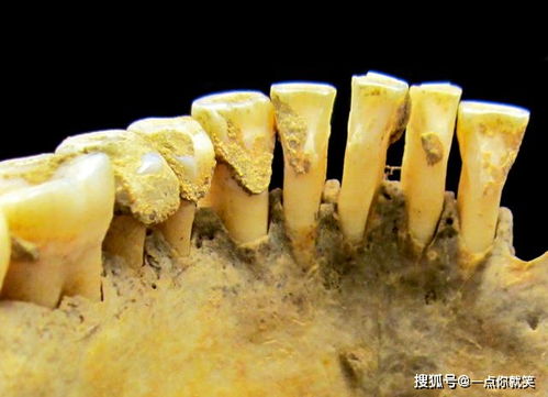 古人类的牙和我们一样吗 隐藏在牙齿化石中的秘密
