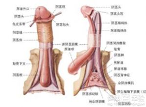 如何将ts转为mkv