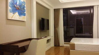 图 南延线 中环岛公寓 1室 1厅 46平米 整租 成都租房 