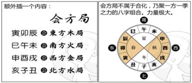 地支的阴阳属性及运行规则是什么