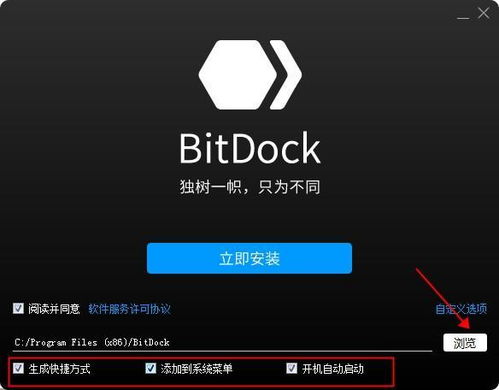 bitdock经典版,简单的界面设计