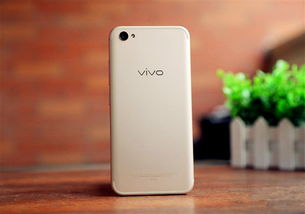 pixiv怎么登录vivo pixiv怎么登录vivo 词条