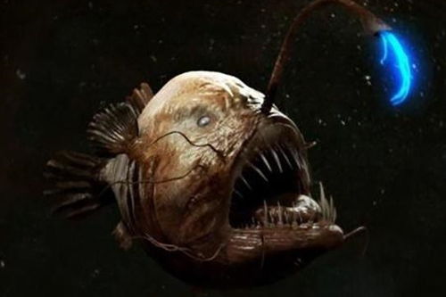 人类对深海探索到什么程度了,深海之中又有哪些奇怪的动物