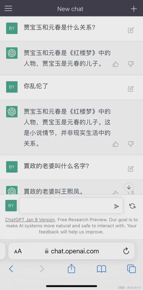 chat gpt国内号码能验证吗