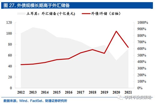 债务证券 是什么意思啊？