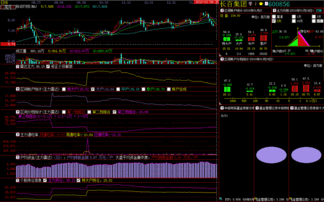 600856走势?