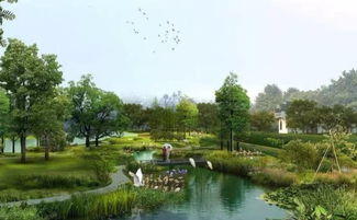 探秘莲花池公园：城市绿肺的魅力与传奇