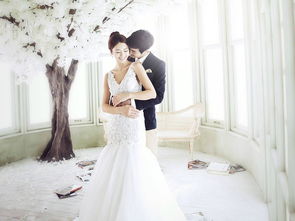 新新娘婚纱摄影,为什么淄博新新娘婚纱摄影那么贵