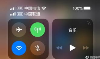 iPhone XS Max双卡可分别命名 看网友的神操作