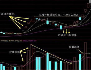 短线操作的买点原则？