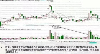 shib牛市翻了多少倍,shib涨了多少倍 shib牛市翻了多少倍,shib涨了多少倍 行情