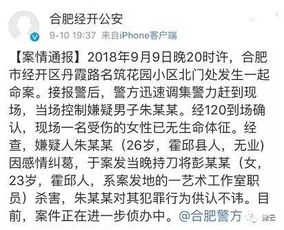 合肥钢琴老师被前男友刺死,亲友 长期被恐吓,不存在交往费 