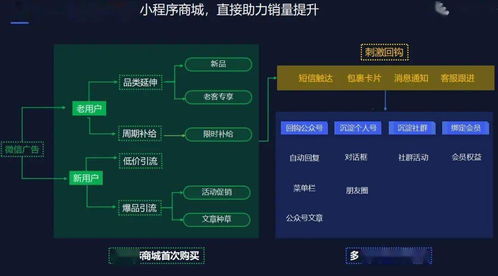 haosf123私：揭秘你不知道的神秘世界！