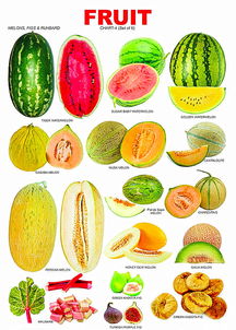 各种水果的英文表达 