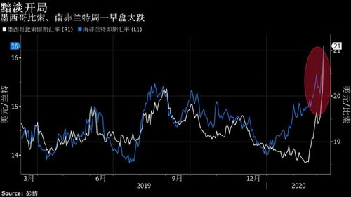 seele币的最新动向 seele币的最新动向 活动