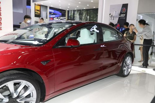 新款特斯拉MODEL 3国内亮相,25.99万起，新款特斯拉Model 3变化都在这里了！-第2张图片