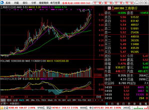 宏源证券增强版中怎么看那股票是自有资金买入的，那些股票是融资买入的？