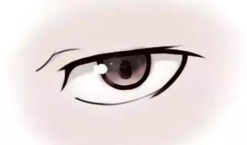 二次元动漫的眼睛怎么画 教你如何绘画眼睛的小技巧