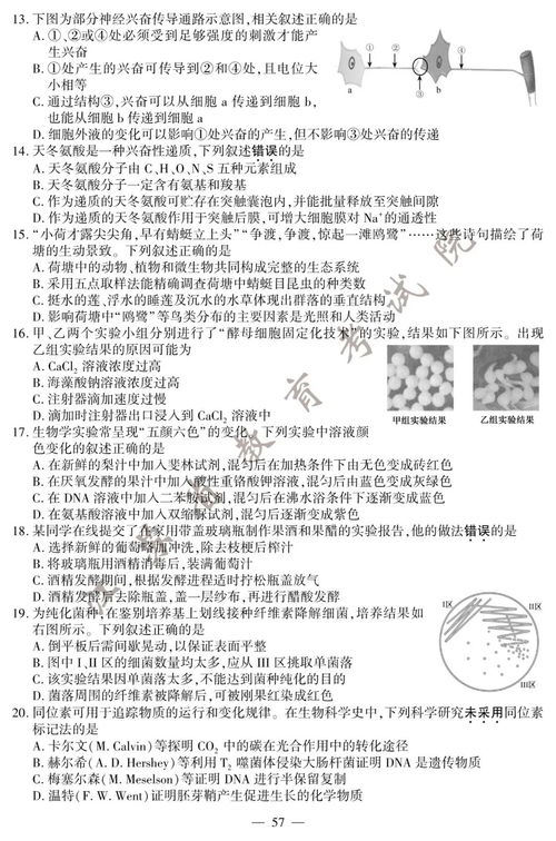 估分啦 2020江苏高考试卷及答案公布