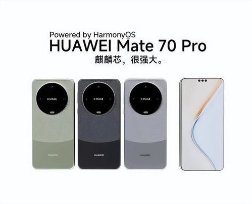 華為MAte70代工