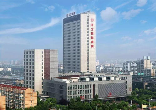 上海市东方医院三代试管婴儿生EZ费用多少钱