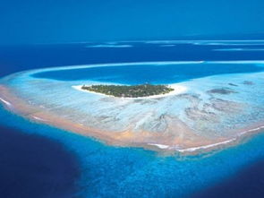 马尔代夫星月岛一个令人惊叹的海洋天堂（马尔代夫瓦度岛星星海）