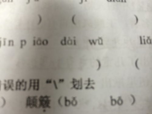 颠簸怎么读音