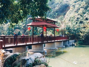 饶平绿岛旅游区