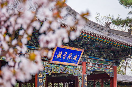 太原市周边一日游最佳景点 (太原周边一日游景点推荐)