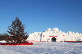 漠河旅游攻略：探秘中国最北端的冰雪奇缘