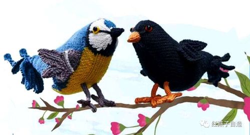小鸟篇 国外手工达人用棒针编织的各种小鸟,神态活灵活现 